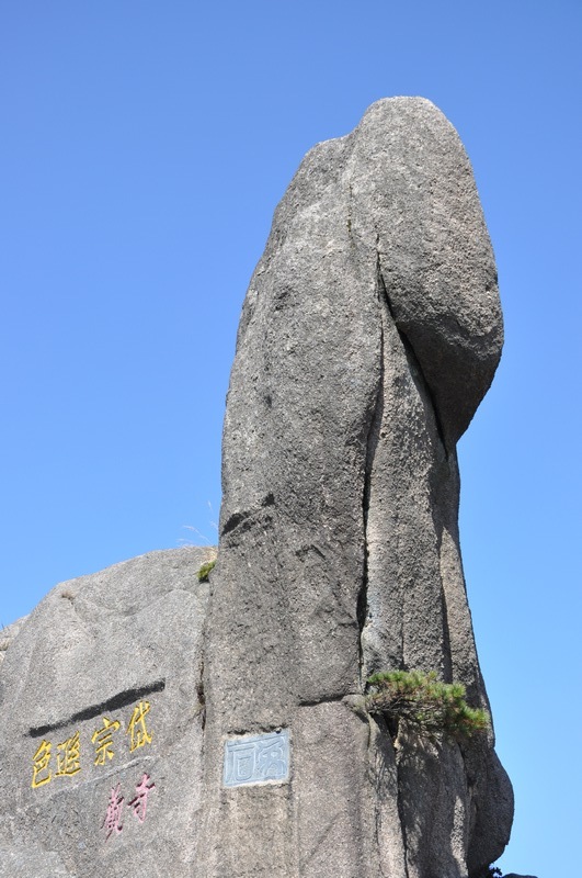 dsc_0340.jpg