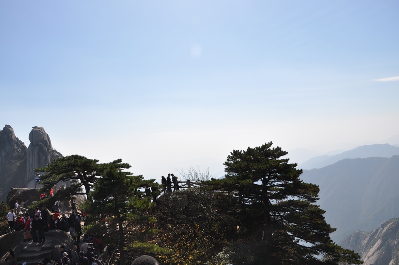 dsc_0347.jpg