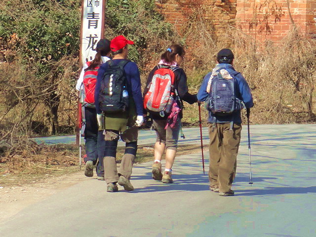 dsc00590.jpg