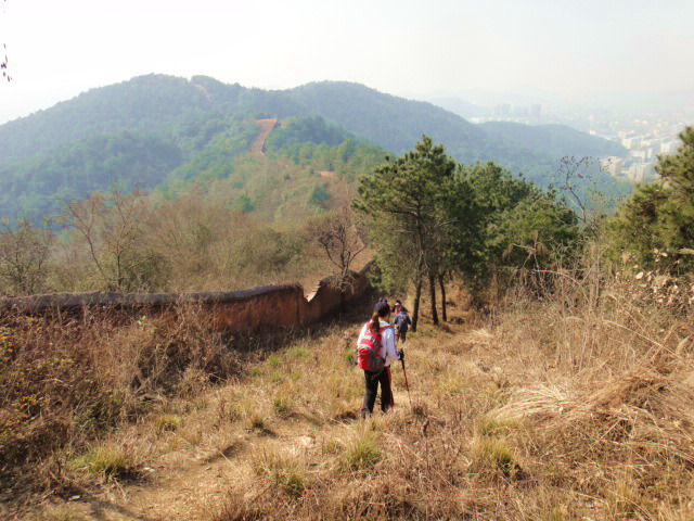 dsc00575.jpg