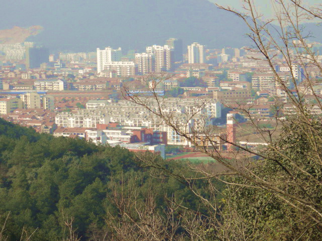 dsc00597.jpg