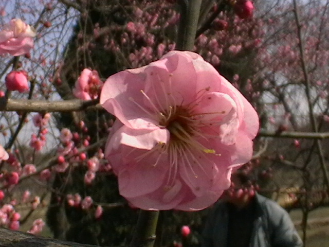 imga0122.jpg