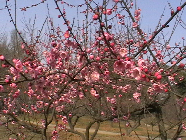 imga0124.jpg