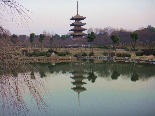 dsc00610.jpg