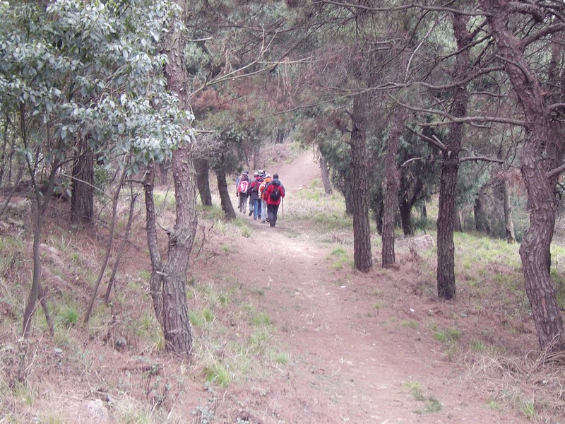 dsc09062_��Ӱ_1.jpg
