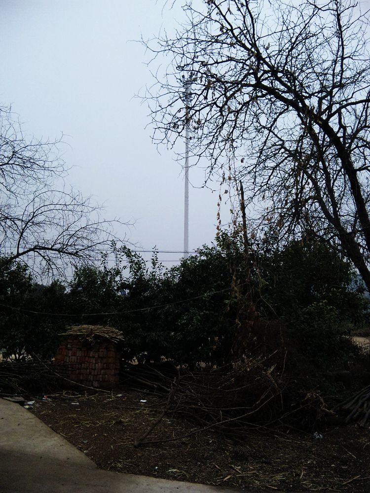 neo_img_dvc00172.jpg