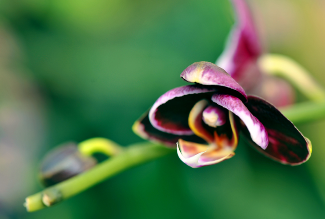 _dsc4440a.jpg