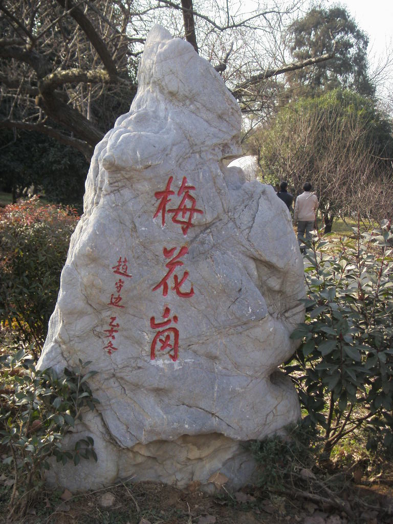 s73f1102.jpg