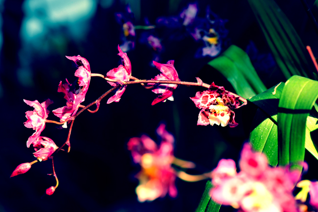 _dsc4476a.jpg