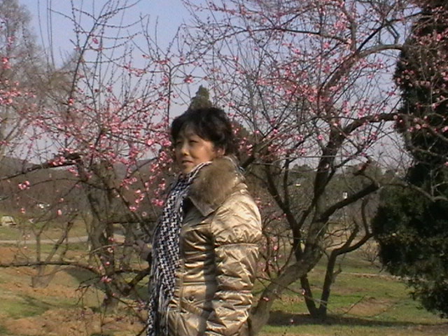 imga0125.jpg