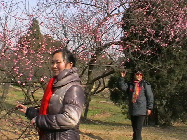 imga0133.jpg