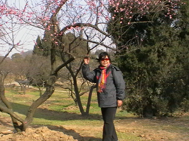 imga0134.jpg