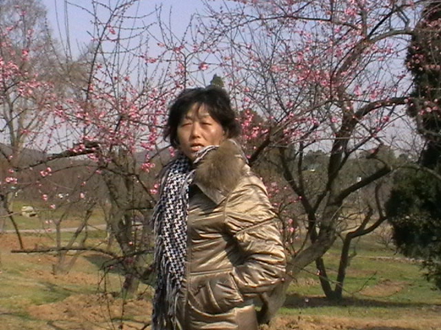 imga0126.jpg