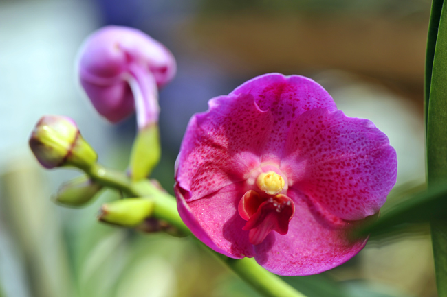 _dsc4501a.jpg