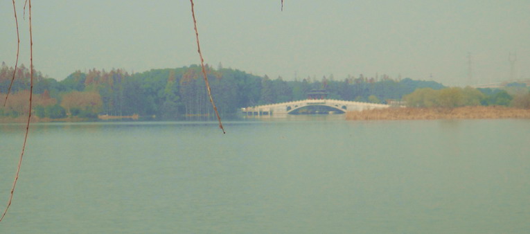 dsc08843.jpg