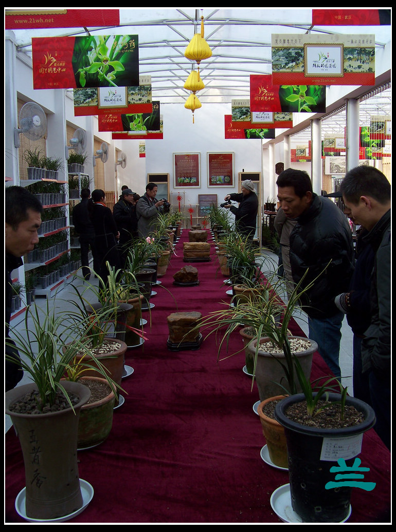 20101231hŹ԰԰ (24).jpg