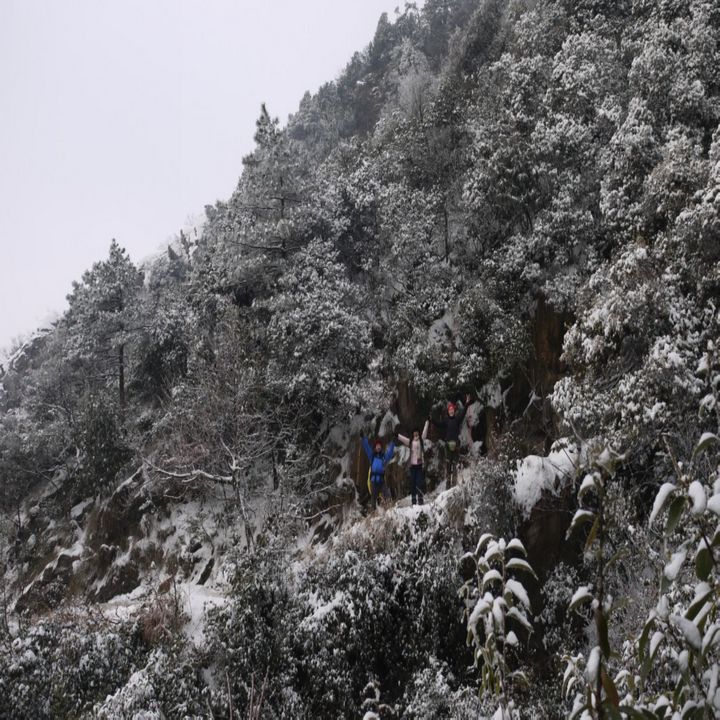 conew_p1050938.jpg