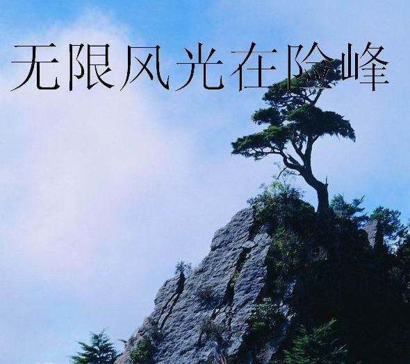 u=2835977466,255468832&fm=3&gp=41.jpg