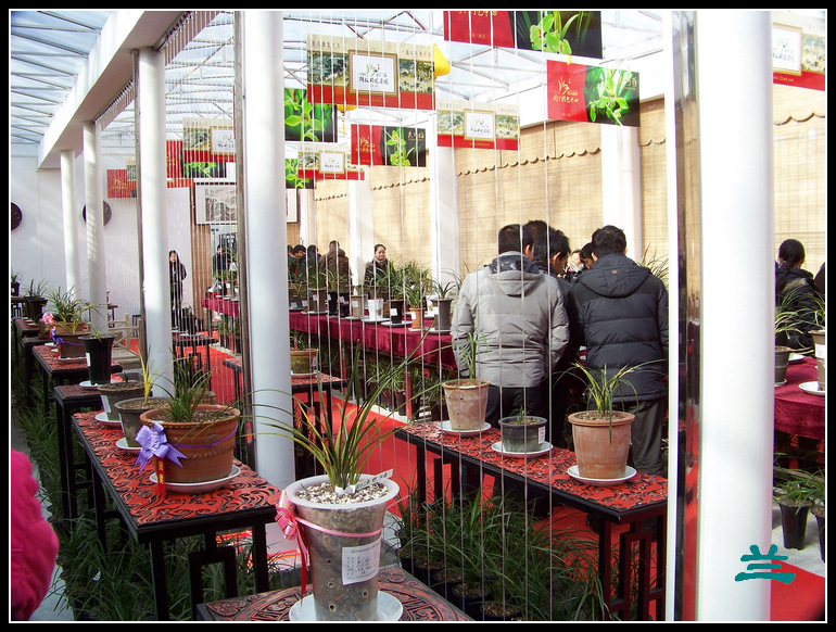 20101231hŹ԰԰ (35).jpg