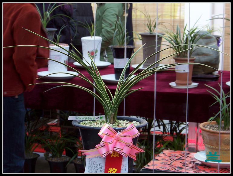 20101231hŹ԰԰ (21).jpg