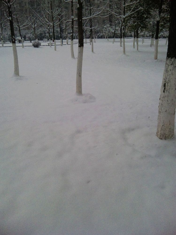 neo_img_dvc00032.jpg