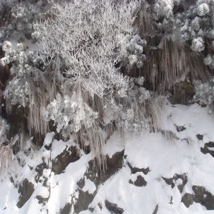 dsc03655.jpg