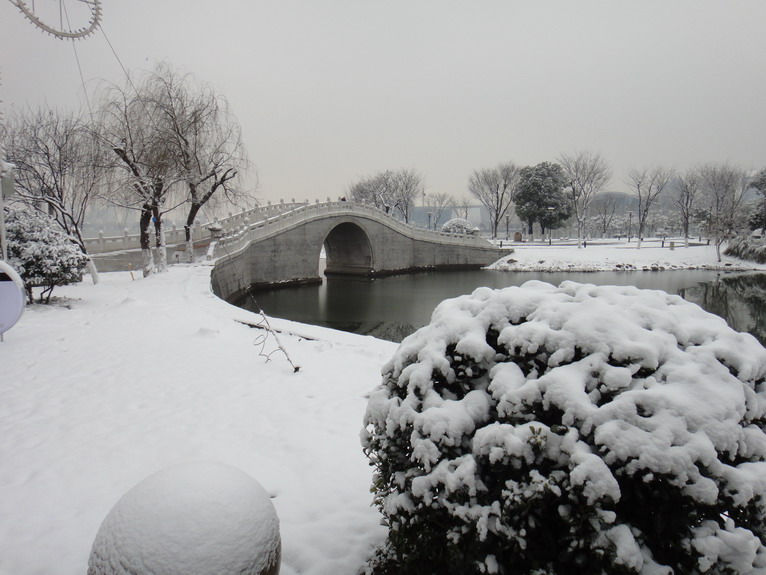 dsc01191.jpg