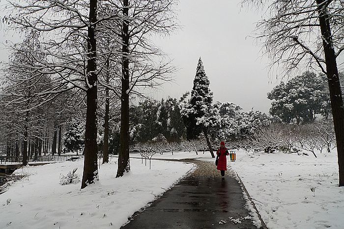 p1020766.jpg