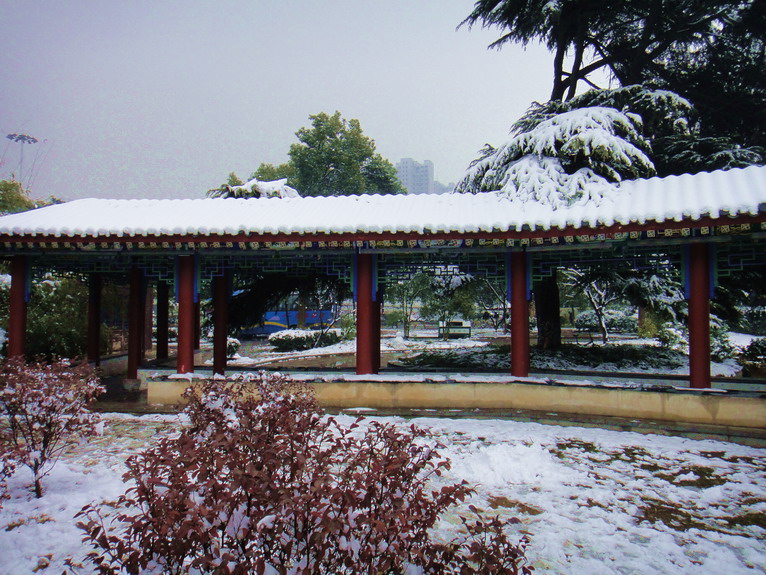 dsc01301.jpg