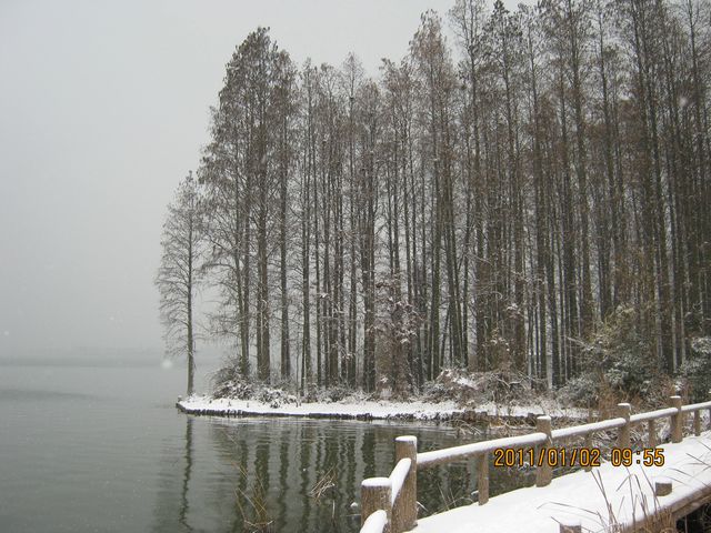 img_1179.jpg