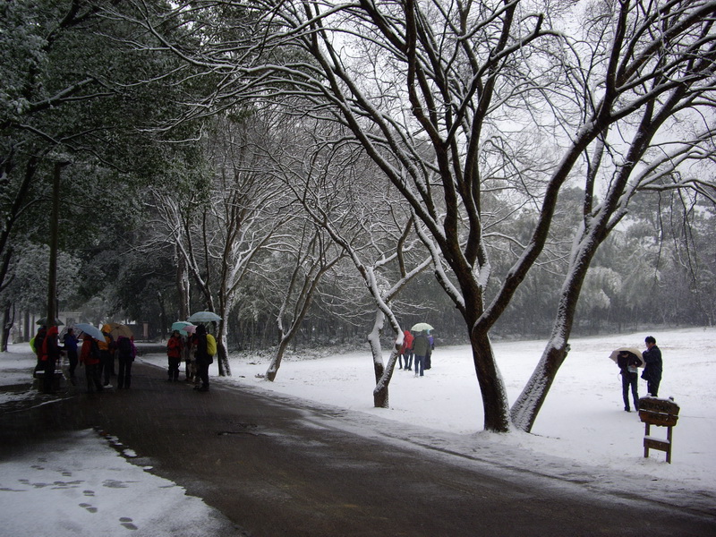 imgp2531.jpg