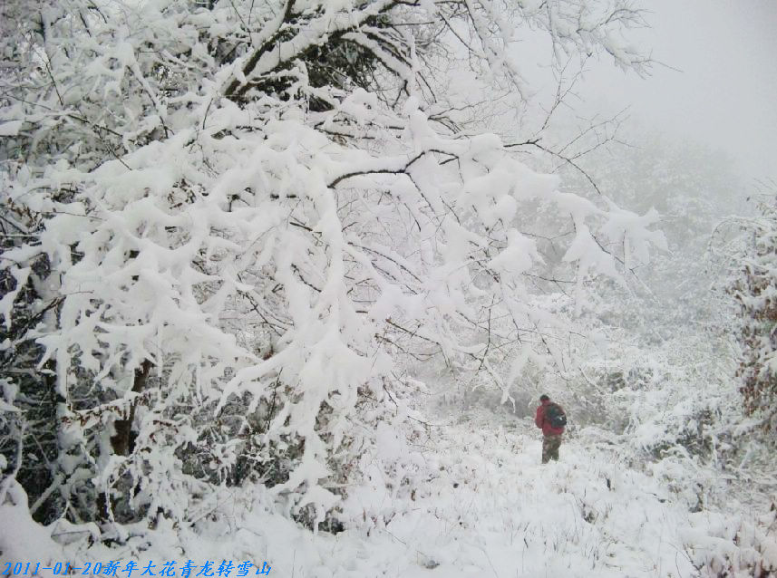 δ����-��ѩ����1011-01-20.jpg
