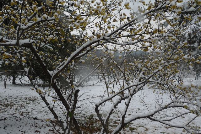 yp1070640.jpg