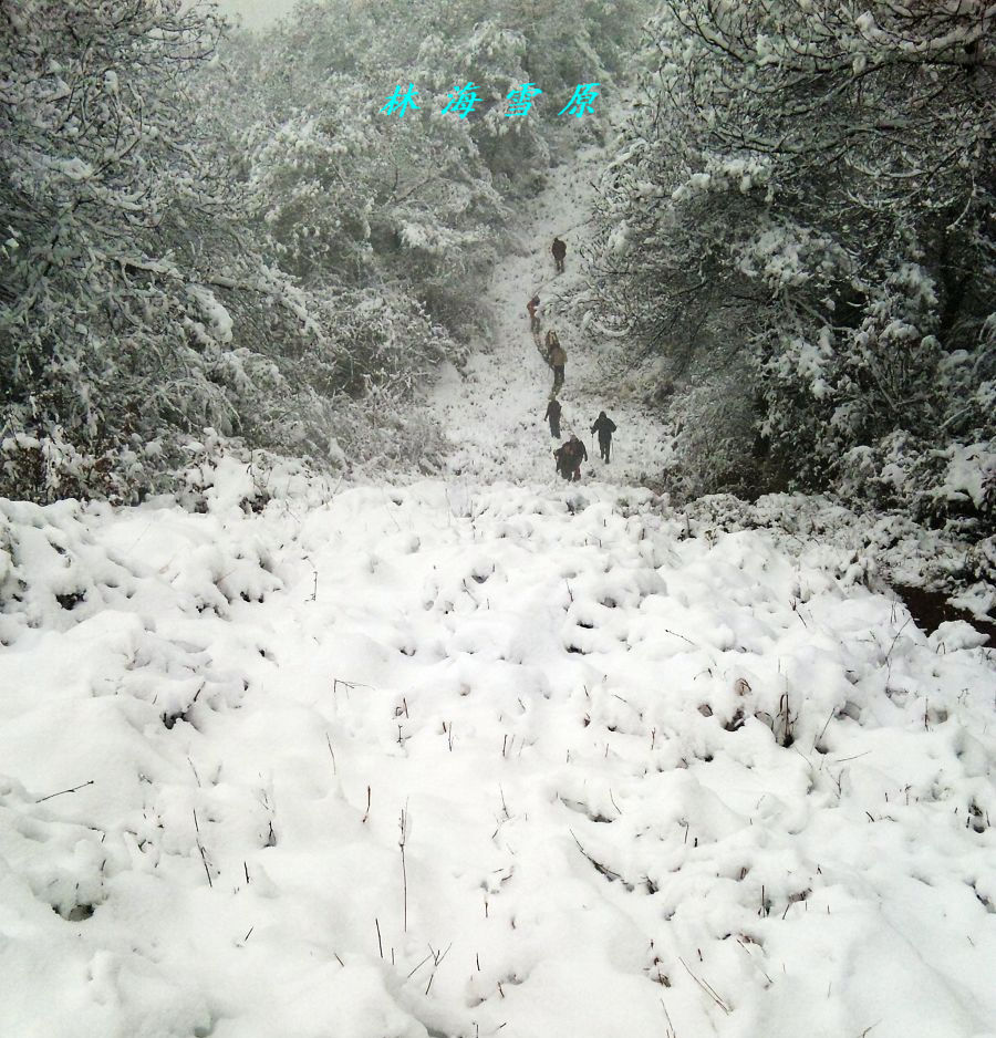 20111221220474932.jpg