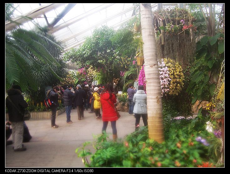 2011-1-23�人ֲ��԰ 012.jpg