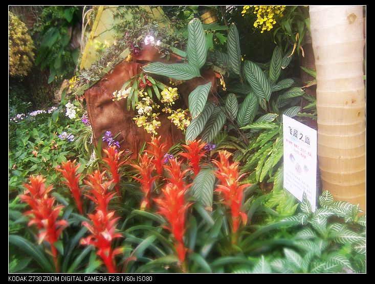 2011-1-23�人ֲ��԰ 011.jpg