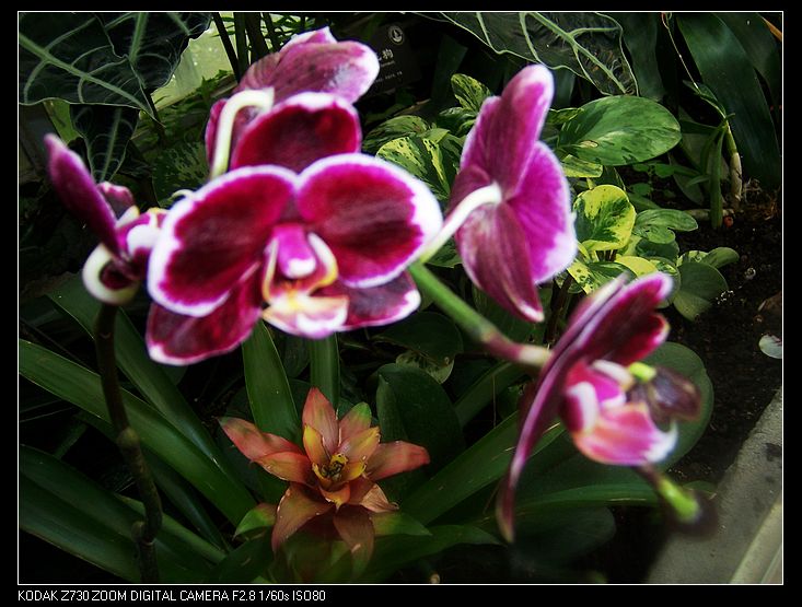 2011-1-23�人ֲ��԰ 027.jpg