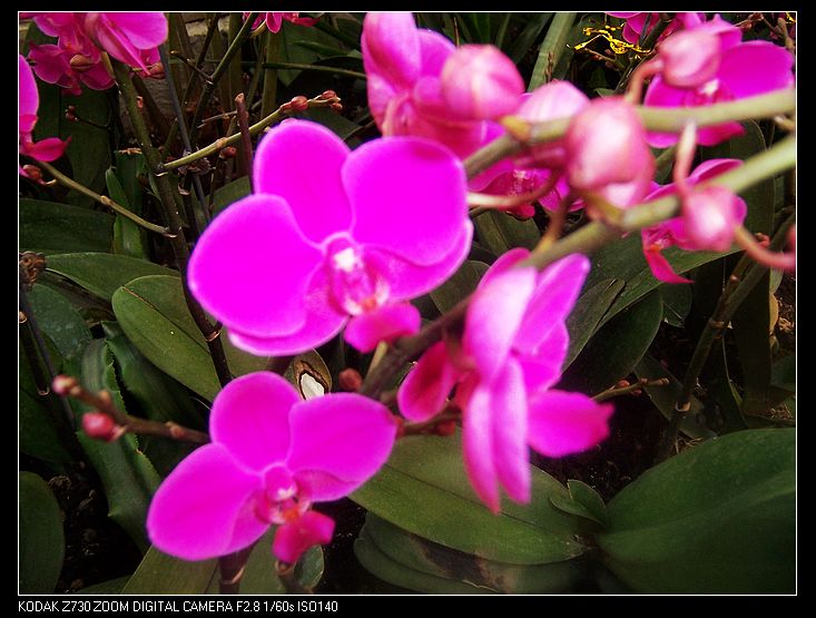 2011-1-23�人ֲ��԰ 026.jpg