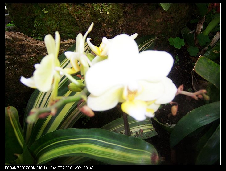 2011-1-23�人ֲ��԰ 025.jpg