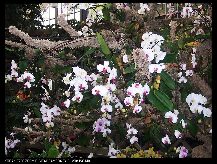 2011-1-23�人ֲ��԰ 030.jpg
