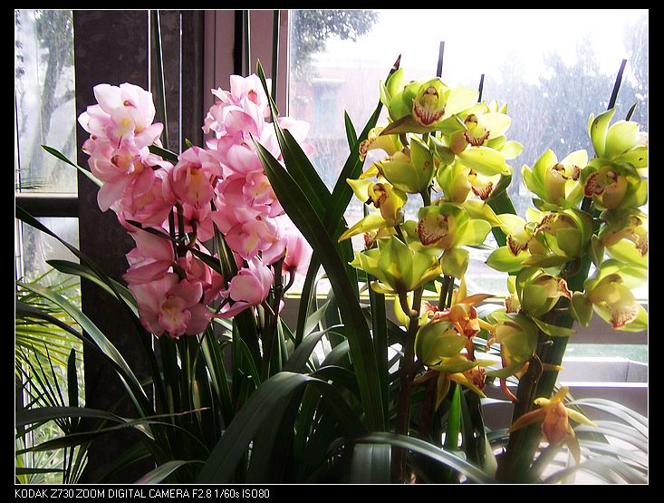 2011-1-23�人ֲ��԰ 033.jpg