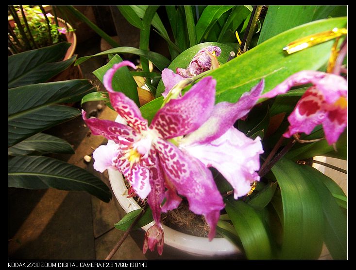 2011-1-23�人ֲ��԰ 032.jpg