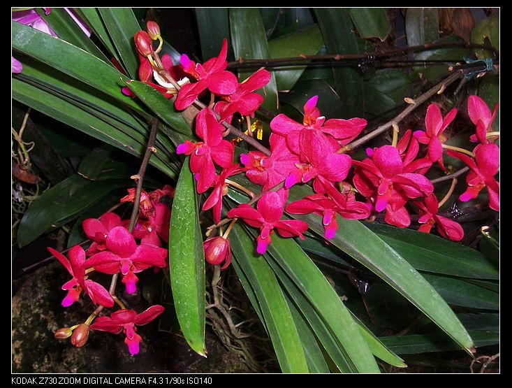 2011-1-23�人ֲ��԰ 029.jpg