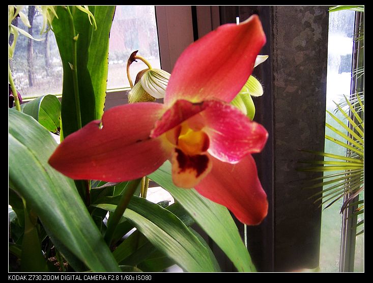 2011-1-23�人ֲ��԰ 034.jpg