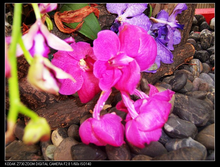 2011-1-23�人ֲ��԰ 042.jpg