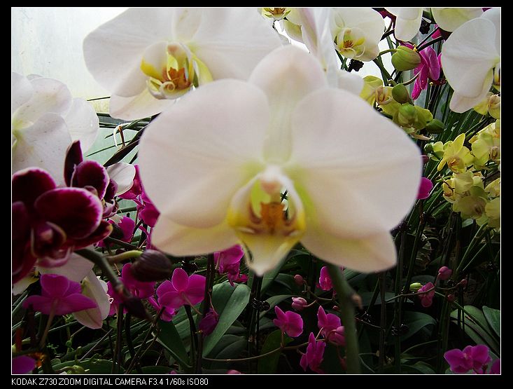 2011-1-23�人ֲ��԰ 041.jpg
