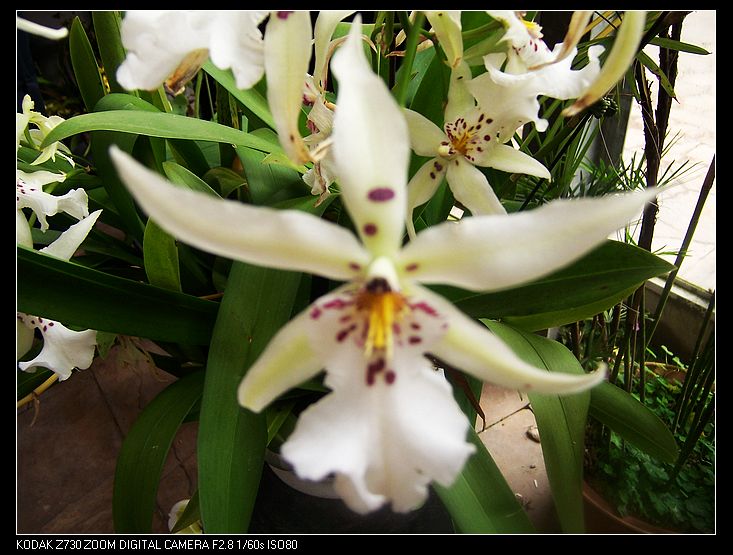 2011-1-23�人ֲ��԰ 036.jpg