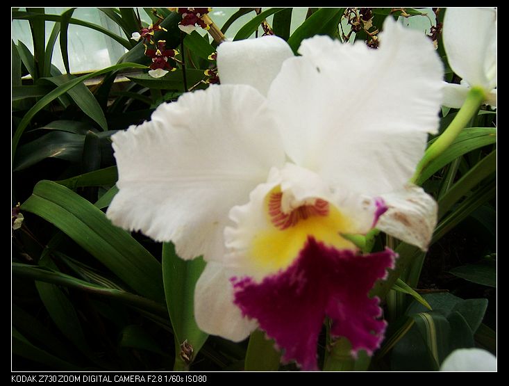 2011-1-23�人ֲ��԰ 039.jpg