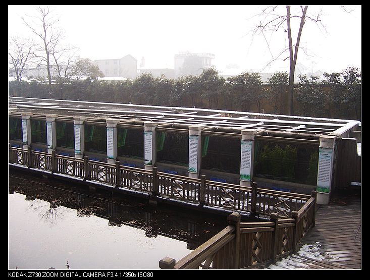 2011-1-23�人ֲ��԰ 050.jpg