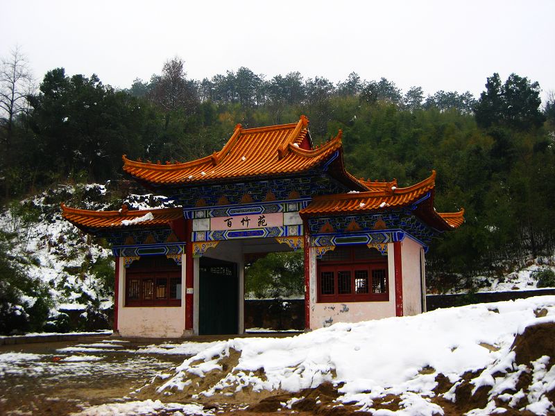 01.jpg